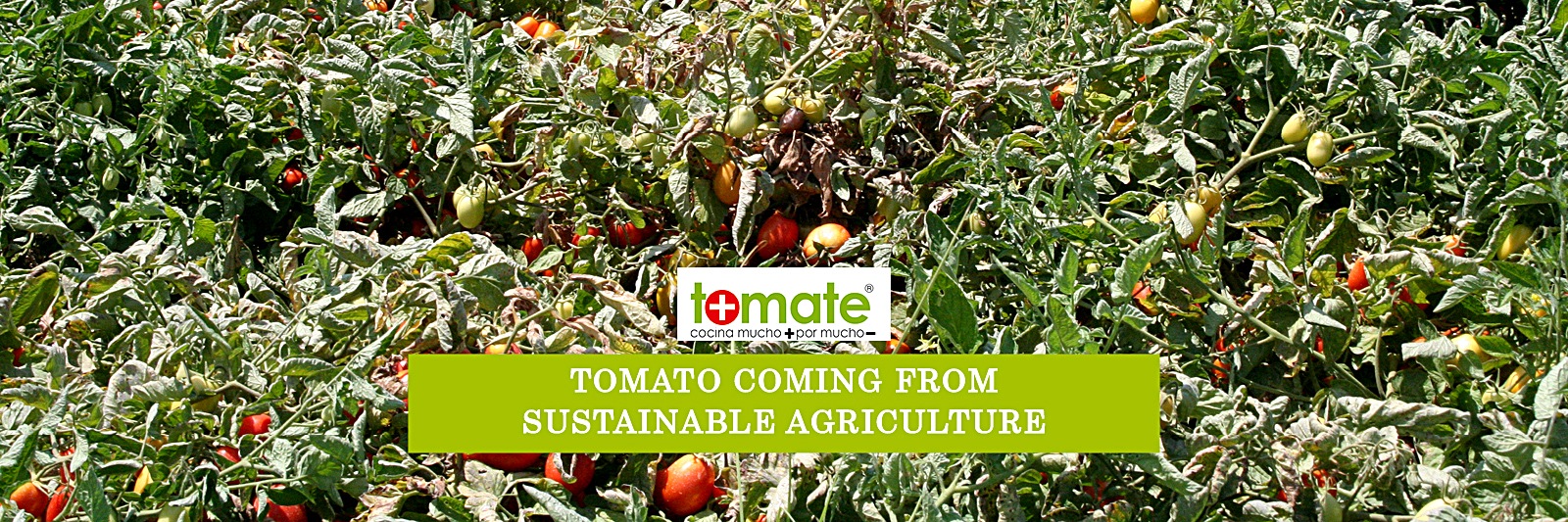 Sustainable agriculture